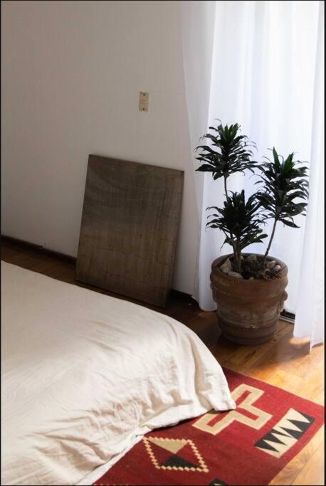 Roma Amor Mexico City Exterior photo